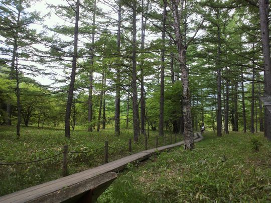 1000円グルメの旅　from 宇都宮　to 47都道府県