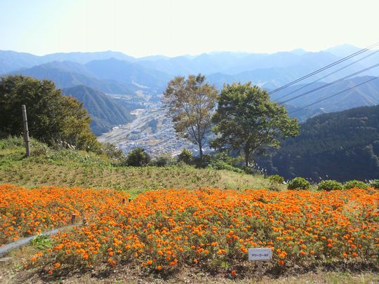 1000円グルメの旅 from 宇都宮 to 47都道府県