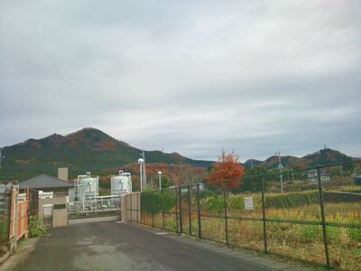 1000円グルメの日々in宇都宮