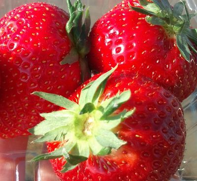 1000円グルメの日々in宇都宮