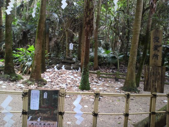 1000円グルメの旅　from 宇都宮　to 47都道府県