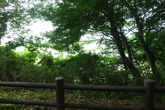 DSC03132