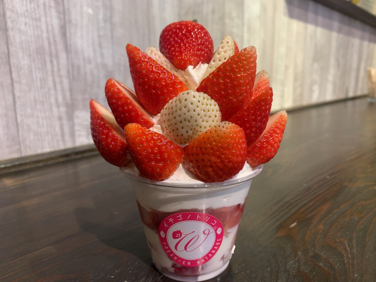 2024いちごパフェ流れ旅6 ご新規店 ～イチゴノトリコ／フレッシュ園