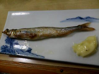 1000円グルメの日々in宇都宮