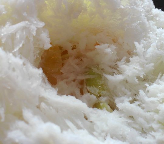 1000円グルメの旅　from 宇都宮　to 47都道府県