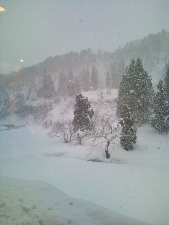 1000円グルメの日々in宇都宮