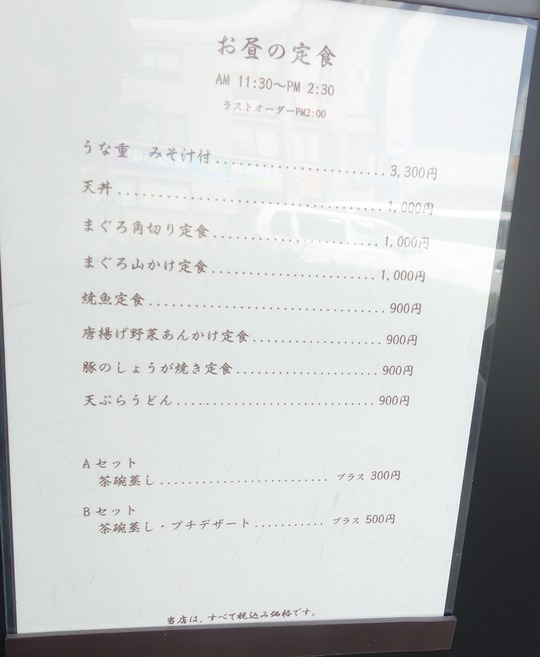 DSC04206