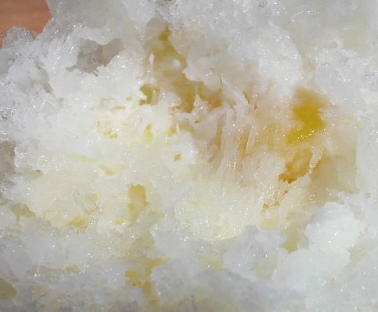 1000円グルメの旅 from 宇都宮 to 47都道府県