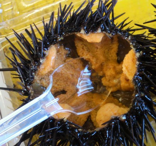 1000円グルメの旅　from 宇都宮　to 47都道府県