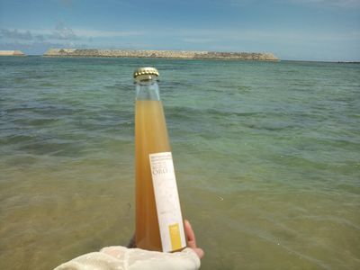 1000円グルメの日々in宇都宮