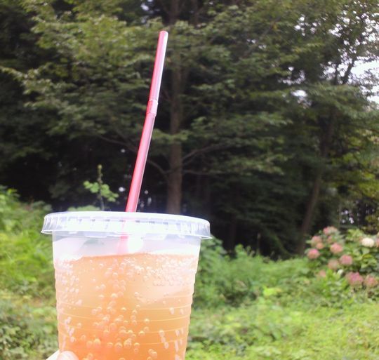 1000円グルメの旅 from 宇都宮 to 47都道府県