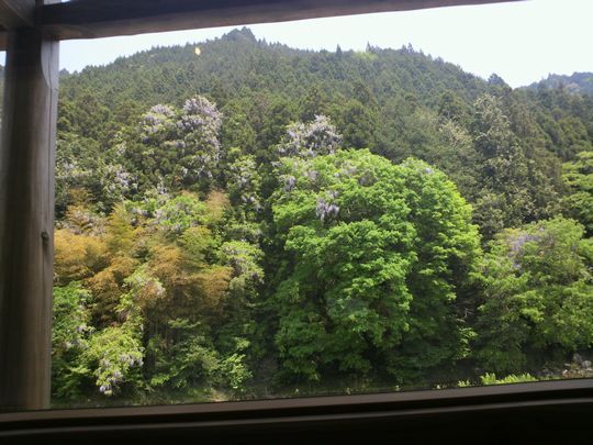 1000円グルメの日々in宇都宮