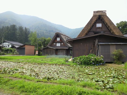 1000円グルメの旅 from 宇都宮 to 47都道府県