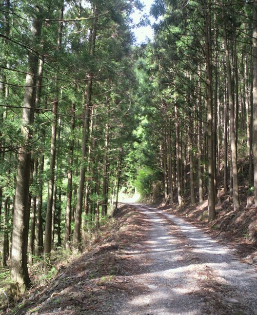 1000円グルメの旅 from 宇都宮 to 47都道府県