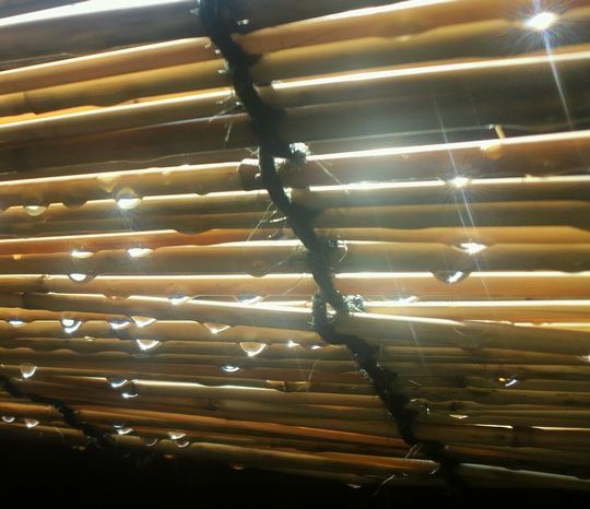 1000円グルメの日々in宇都宮