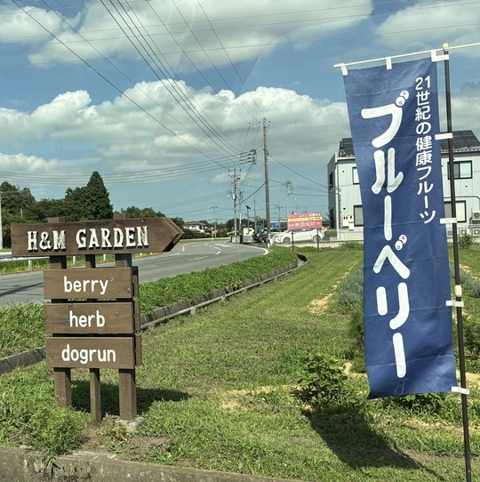 2026-08-05 14.27.13