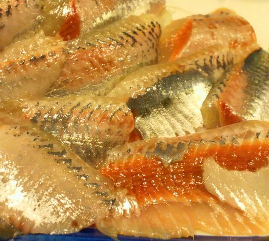 1000円グルメの旅 from 宇都宮 to 47都道府県