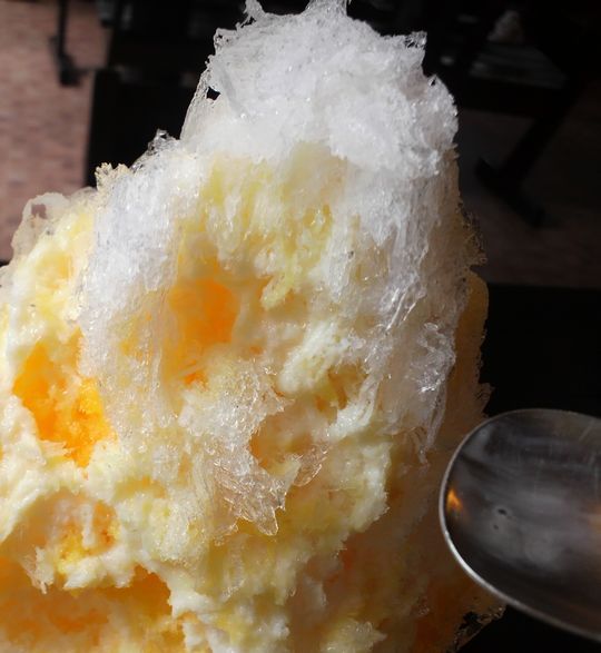 1000円グルメの日々in宇都宮