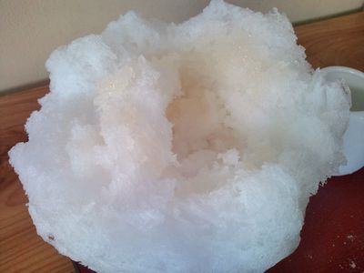 1000円グルメの日々in宇都宮