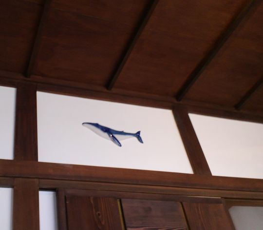 1000円グルメの旅 from 宇都宮 to 47都道府県