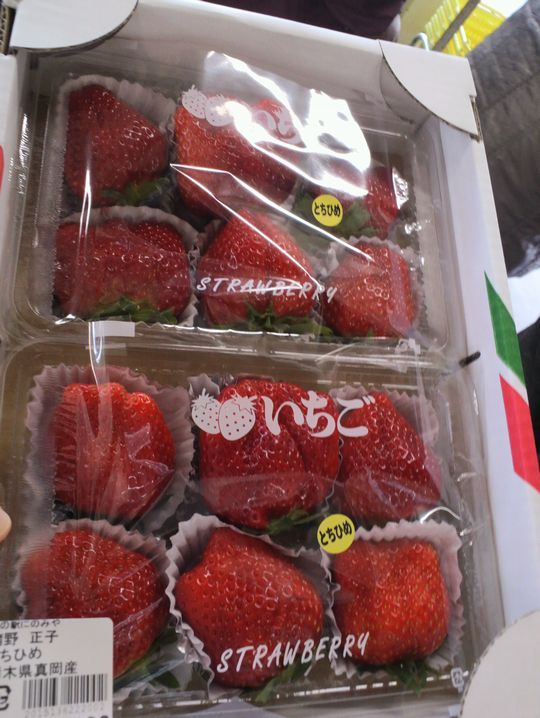 1000円グルメの旅　from 宇都宮　to 47都道府県