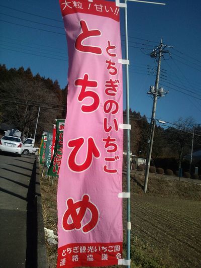 1000円グルメの日々in宇都宮