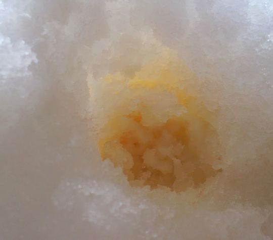 1000円グルメの旅　from 宇都宮　to 47都道府県