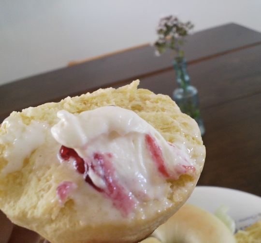 1000円グルメの旅　from 宇都宮　to 47都道府県