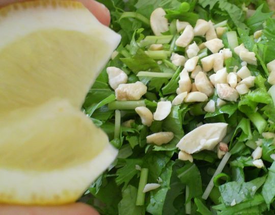 1000円グルメの旅 from 宇都宮 to 47都道府県