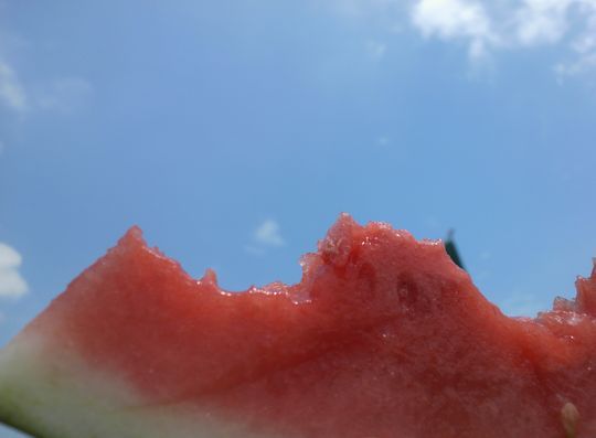 1000円グルメの旅 from 宇都宮 to 47都道府県