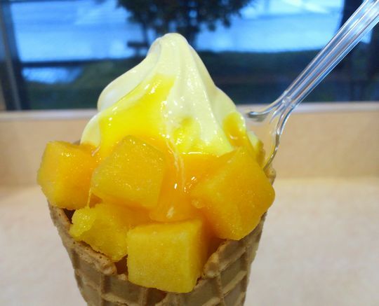 1000円グルメの旅　from 宇都宮　to 47都道府県