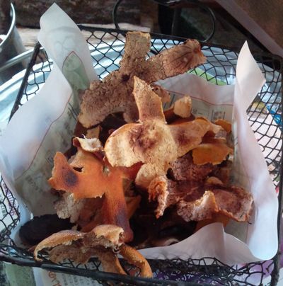 1000円グルメの日々in宇都宮