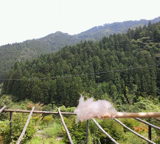 1000円グルメの旅 from 宇都宮 to 47都道府県