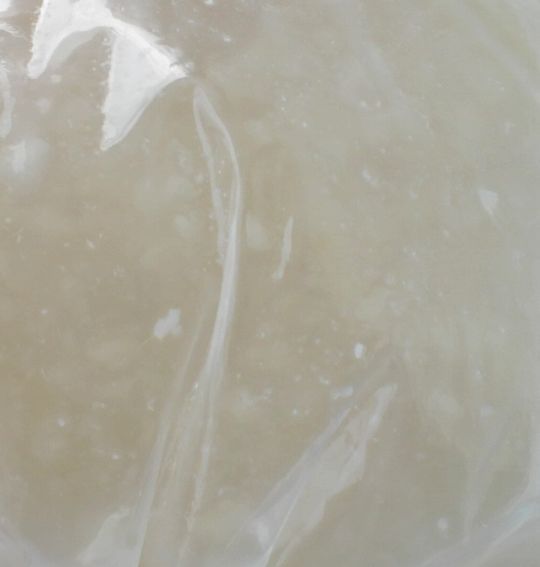 1000円グルメの旅 from 宇都宮 to 47都道府県