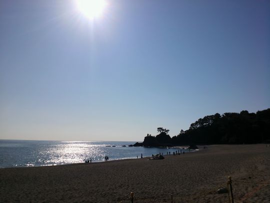 1000円グルメの旅 from 宇都宮 to 47都道府県