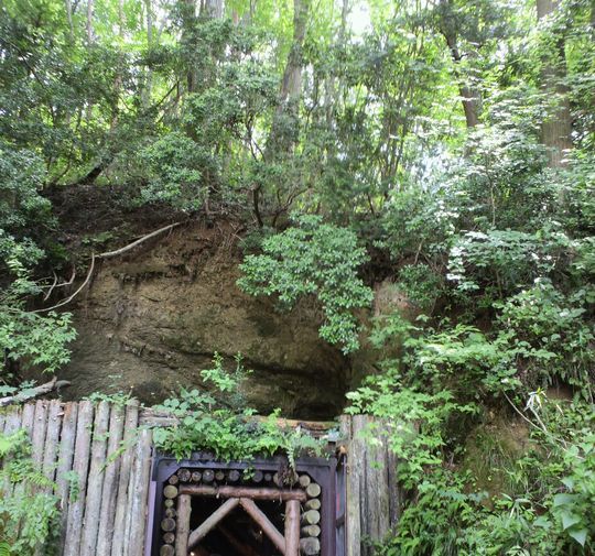 1000円グルメの旅 from 宇都宮 to 47都道府県