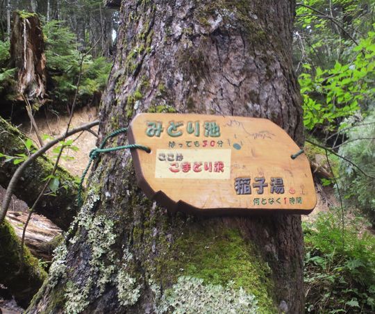 1000円グルメの旅 from 宇都宮 to 47都道府県