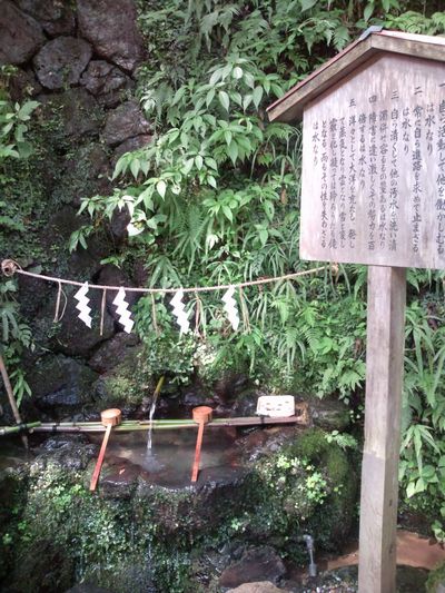 1000円グルメの日々in宇都宮