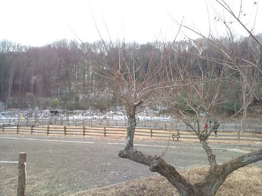 1000円グルメの日々in宇都宮