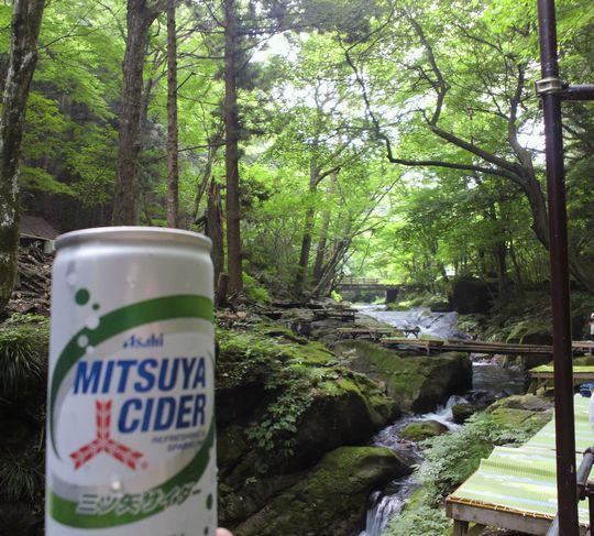 1000円グルメの日々in宇都宮