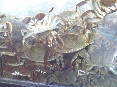 1000円グルメの日々in宇都宮