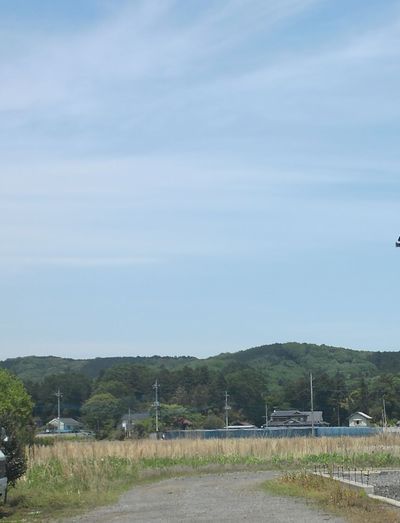 1000円グルメの日々in宇都宮