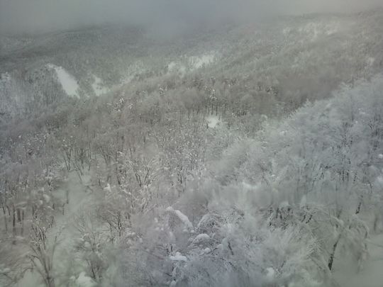 1000円グルメの日々in宇都宮