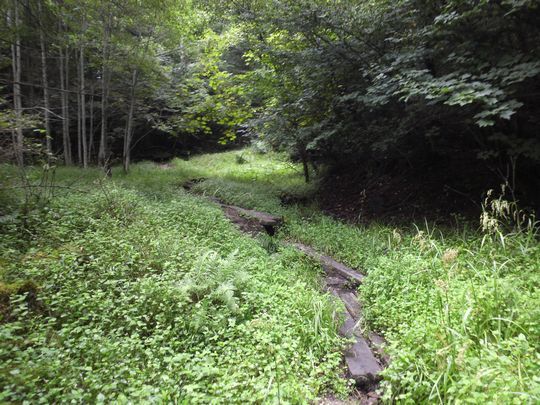 1000円グルメの旅 from 宇都宮 to 47都道府県