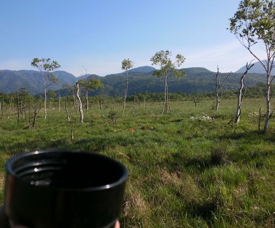 1000円グルメの旅　from 宇都宮　to 47都道府県