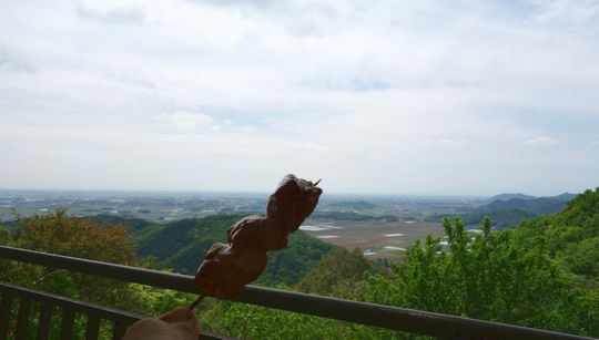 DSC05999