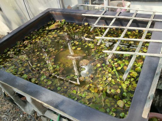 1000円グルメの旅 from 宇都宮 to 47都道府県