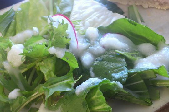 1000円グルメの日々in宇都宮