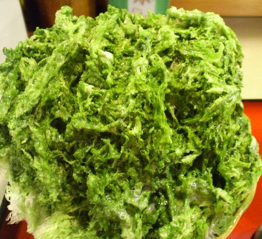 1000円グルメの旅　from 宇都宮　to 47都道府県