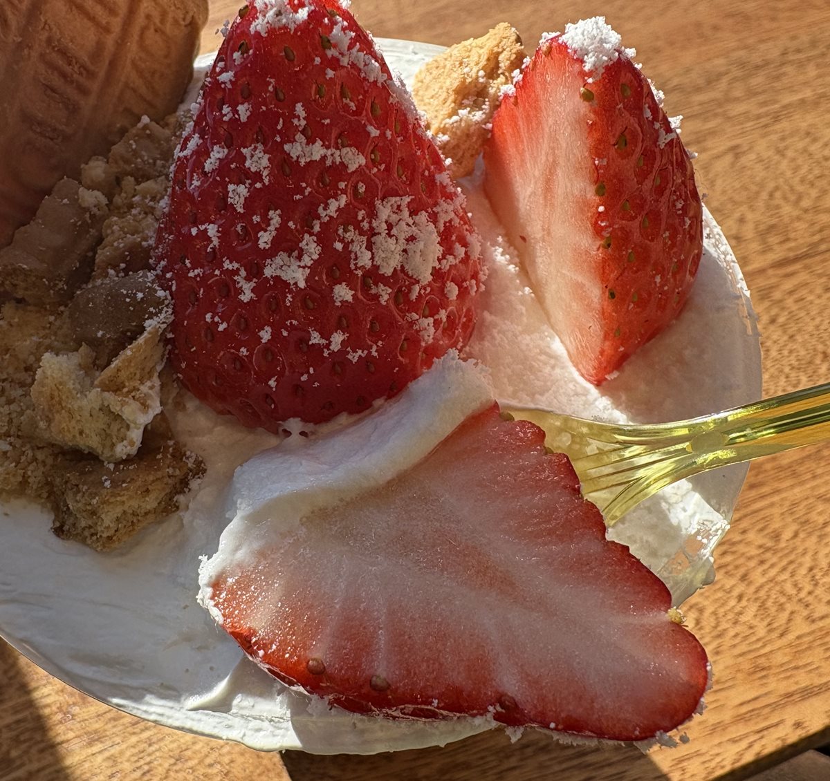 イチゴパフェ様】105版 帝国データバンク会社年鑑 2025年 イチゴパフェ